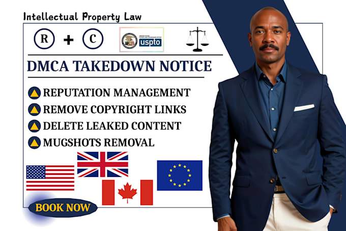 remove copyright infringement and send dmca takedown notice