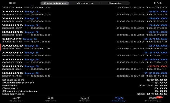 build a profitable forex ea bot, trading bot, forex trading bot, forex ea robot