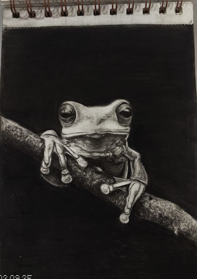 draw realistic graphite portrait from your photo