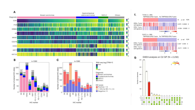 perform any bioinformatics and machine learning analysis