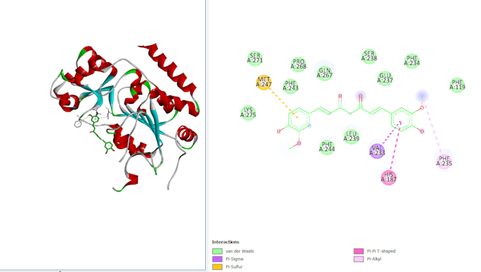 perform molecular docking with full analysis