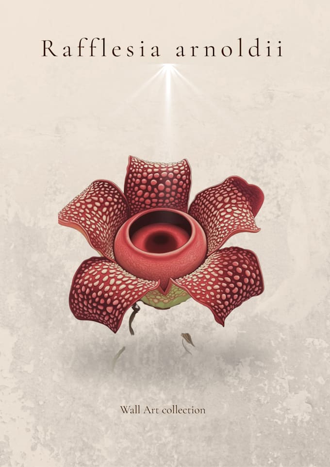 create vintage botanical digital art prints