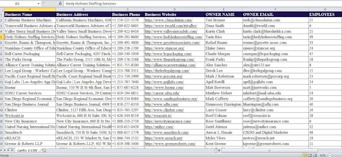 be your personal assistant for data entry and lead generation work