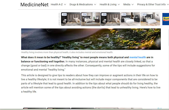 write SEO optimized articles, blog posts, and professional website content