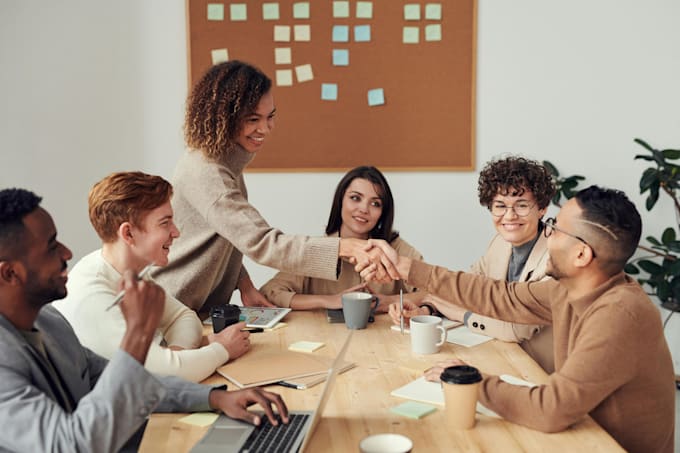 provide executive leadership and management coaching
