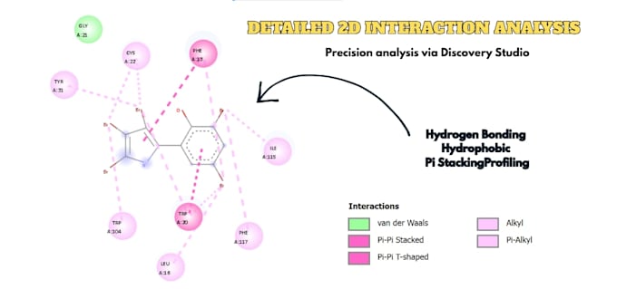 perform molecular docking and virtual screening
