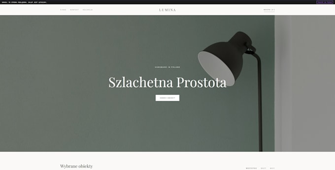 code and obfuscate a website for you