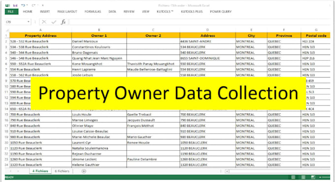 do data entry, web research, copy paste, excel data entry and typing