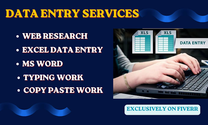 provide data entry and ms office services professionally