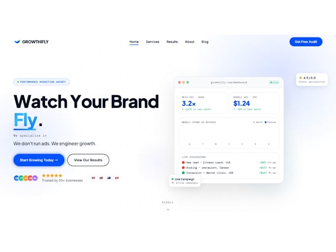 build custom website development as full stack web developer