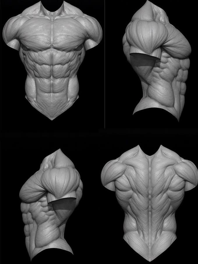 sculpt 3d realistic body