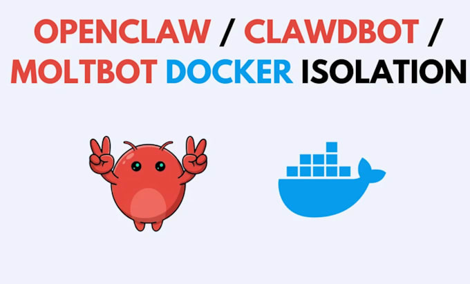 installed and setup openclaw and workflow professionally