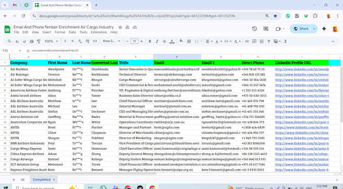 data enrichment decision makers email and phone numbers appending, data mining
