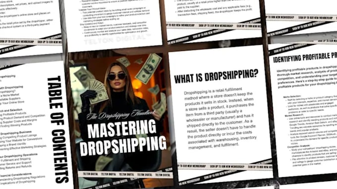 build up dropshipping stores for one product brands