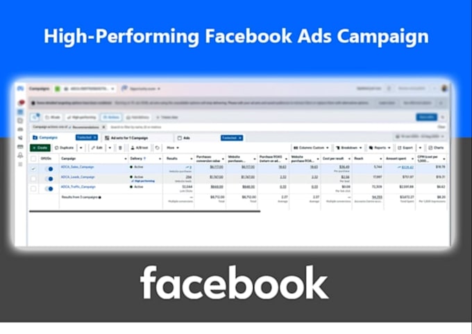 setup and manager facebook ads, instagram ads campaign, meta ads manager