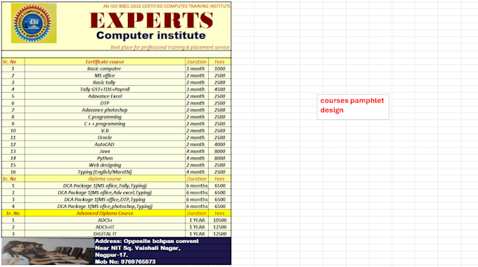 do data entry work and create expense and income tracker