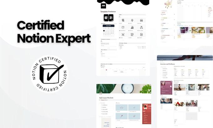 build an internal knowledge base and sop system in notion