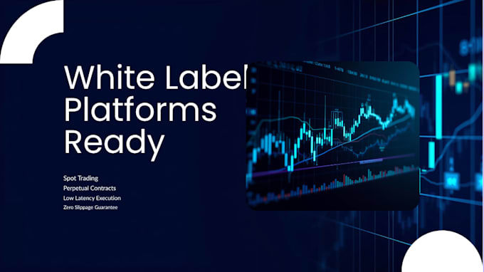 integrate bybit liquidity API for spot and perpetual trading