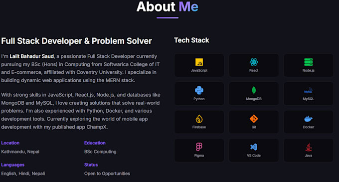 build a fully responsive and professional website