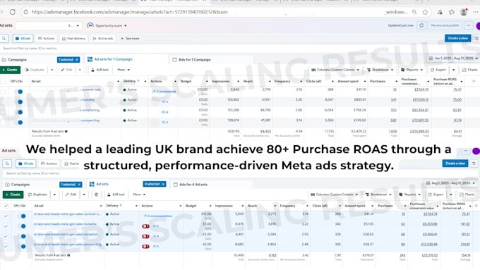be facebook ads campaign specialist, meta ads expert