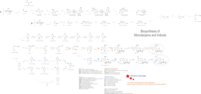 create professional and visually appealing biosynthesis pathway