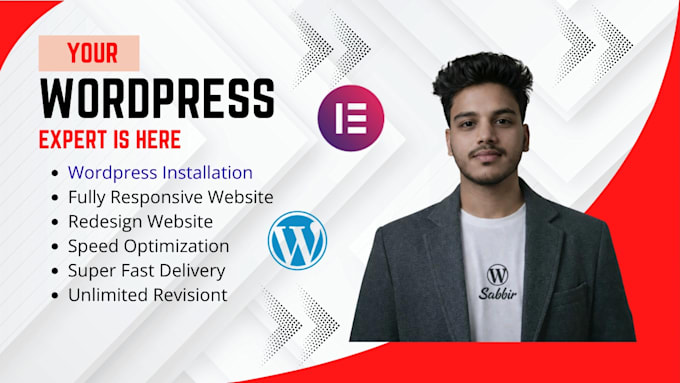 design a professional wordpressor creative portfolio website