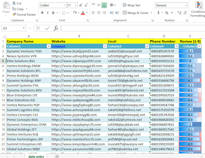 professional data entry and excel expert