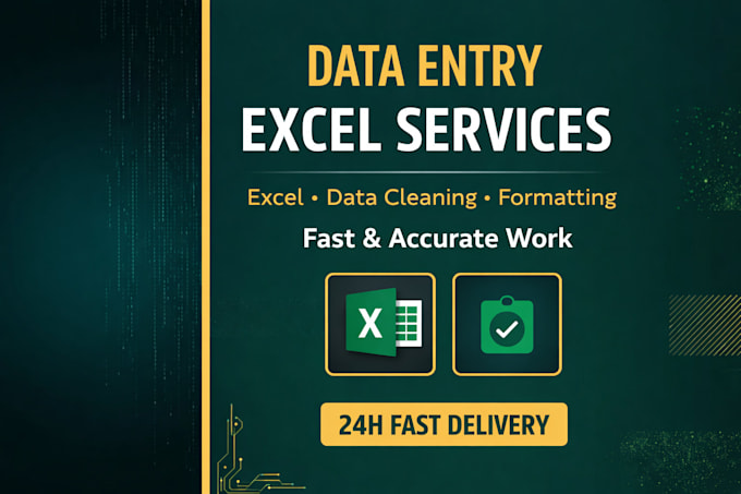 do ms data entry and data cleaning