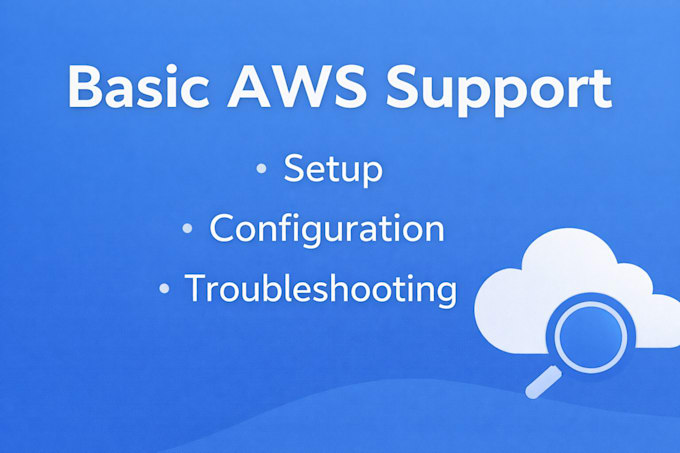 help with basic AWS cloud setup and support