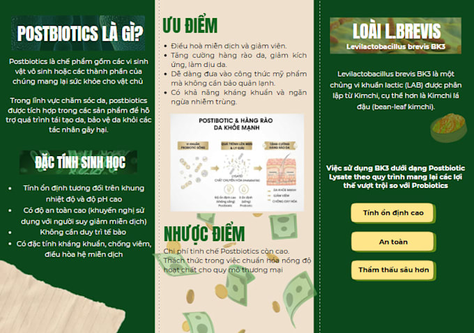 design a canva presentation