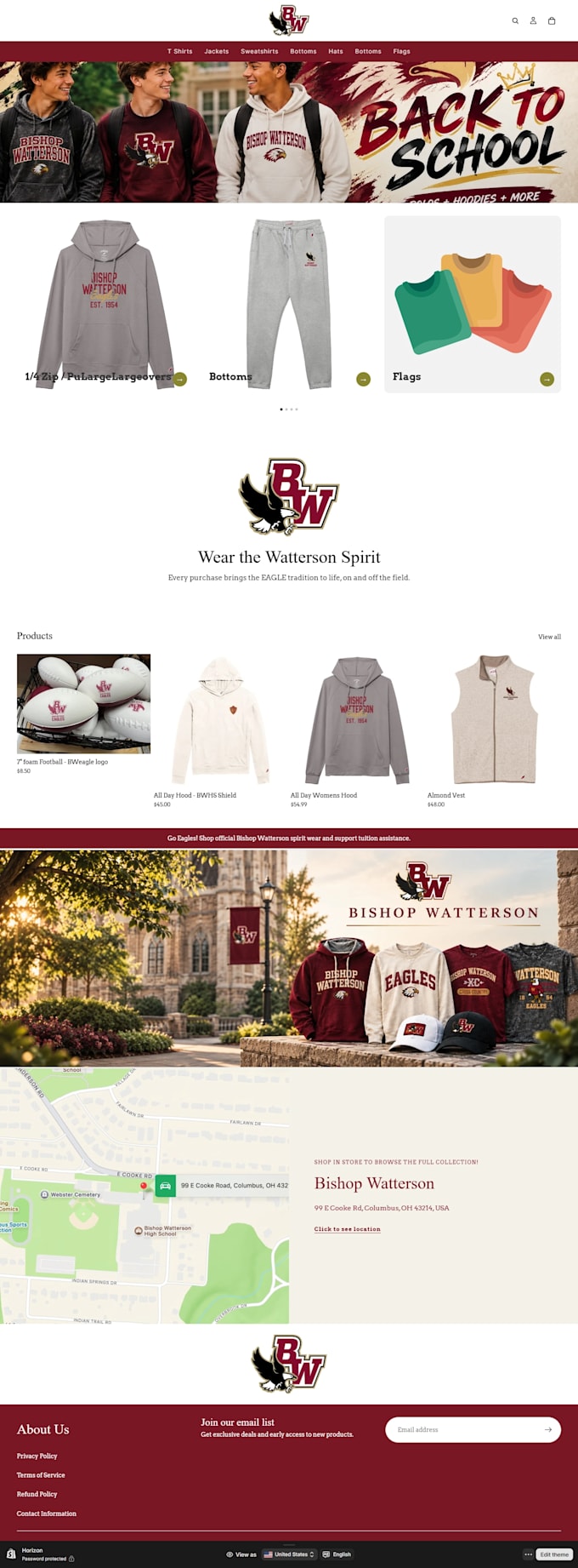 do professional shopify store design and setup