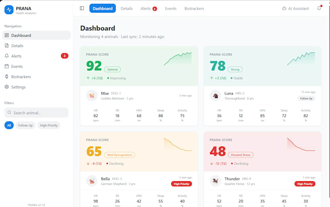 build your client portal or dashboard