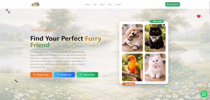 be react developer,website developer