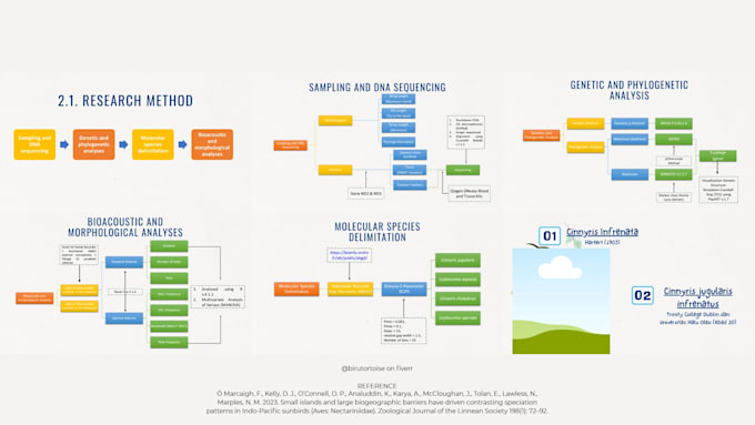 design custom fit academic presentation