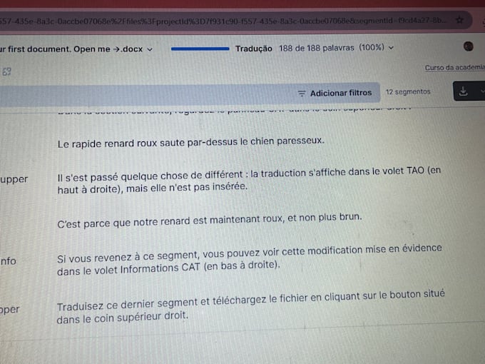 iwill translate your documents