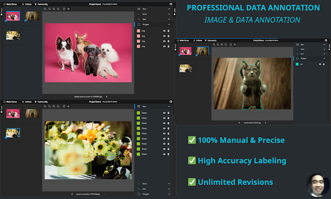 do professional image annotation and data labeling for ai