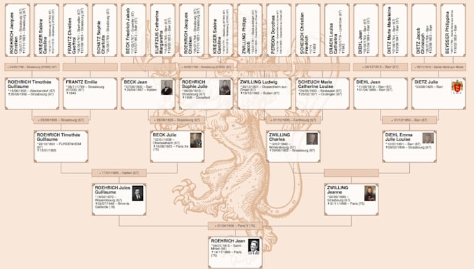 do expert french genealogy research for your family tree