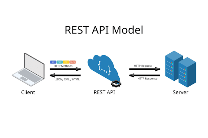 build a professional laravel rest API for your saas