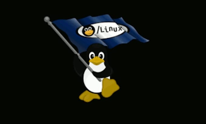 fix linux server issues and setup your server