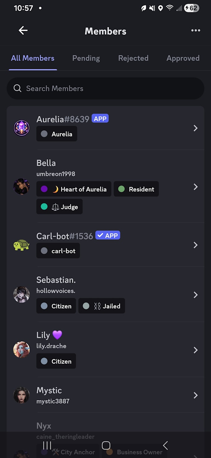 create and setup a professional discord server