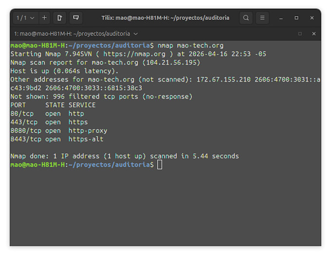 perform vulnerability analysis and security audits for web, apis and servers