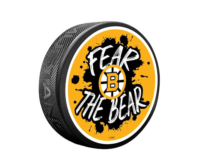 design professional bear logo