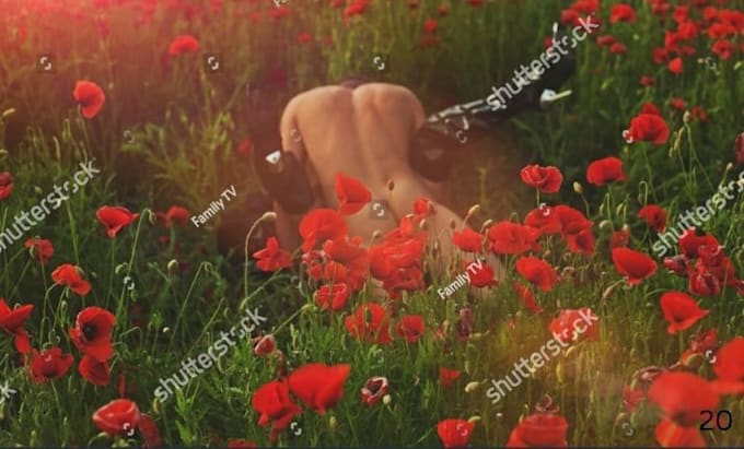 write a custom erotic story or steamy romance fiction