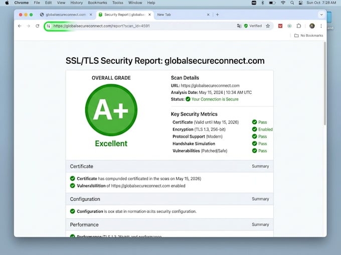 fix dns errors, SSL certificate warnings, and domain issues