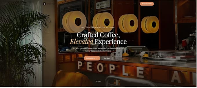 build shopify store or drop shipping store