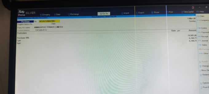 handle your gst, itr, tds and complete accounting work