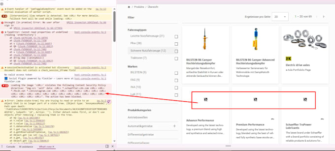do manual software testing with detailed bug reports