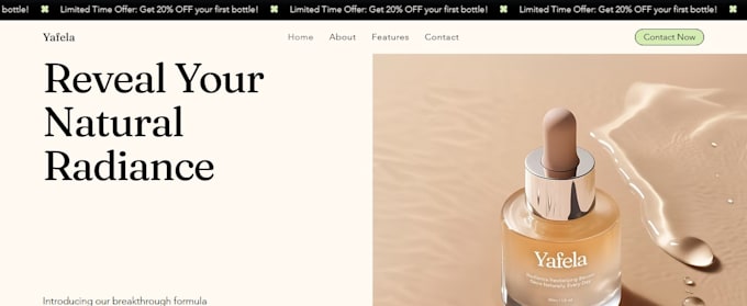 wix website design, wix redesign, design wix landing page luxury wix website