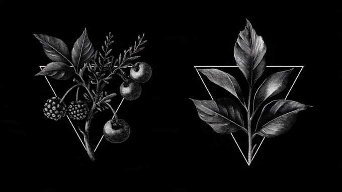 create a unique botanical hand drawn logo