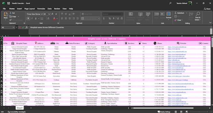 do healthcare leads data entry, web research and excel formatting